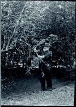 Father Victor Poirier, SS.CC., pruning coffee tree, Kalihi Uka, Oahu.